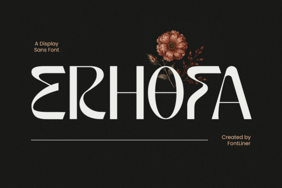 Erhofa Font Review for Modern Display Campaigns